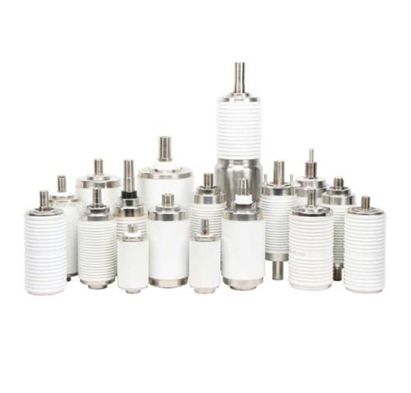 Vacuum Interrupter export